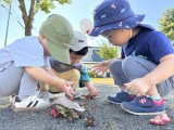 IMG_8860[1]