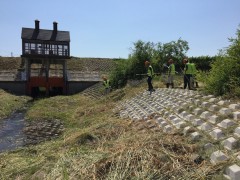 河川の集草作業