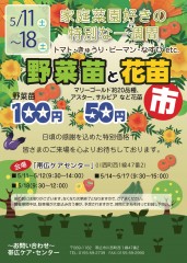 野菜苗と花苗市2019