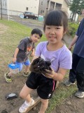 開西①