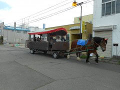 ばんえい競馬のキング号登場(^O^)／