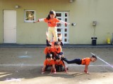 DSCF3380a