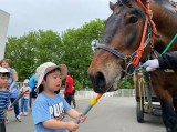 IMG_1302 a