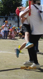 かもめ