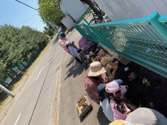 IMG_0604