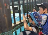 動物園１０