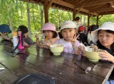動物園１３