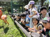 動物園１４